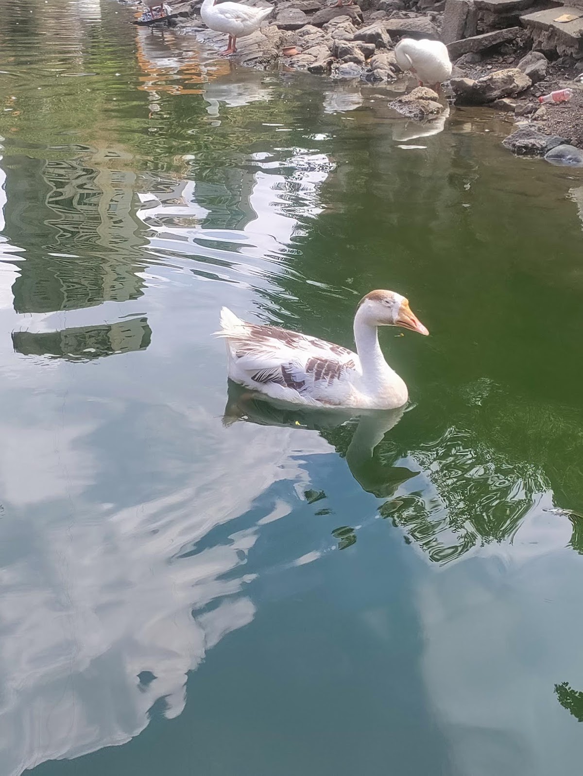 Banganga Tank, Mumbai