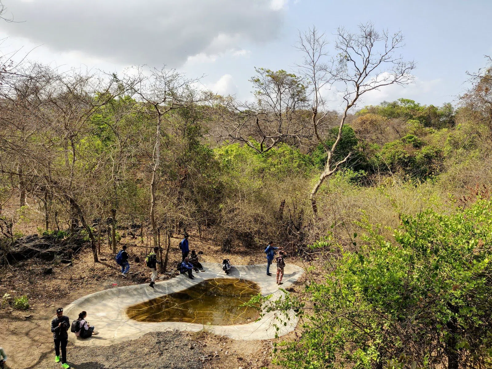 Kanheri, Leopards and Mumbai's Forested Northern Edge
